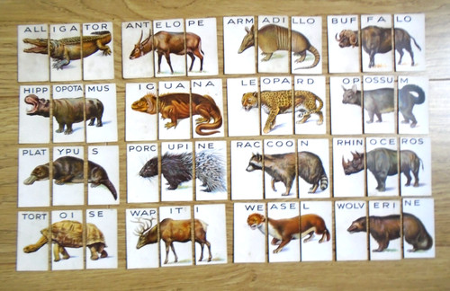 Animalloys cigarette cards - animalloys,