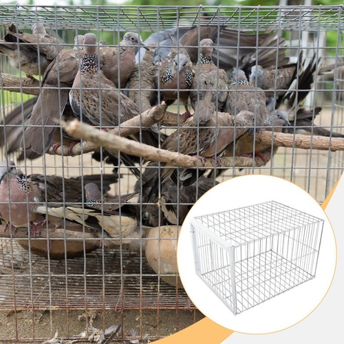 Bird trap cage portable - bird,