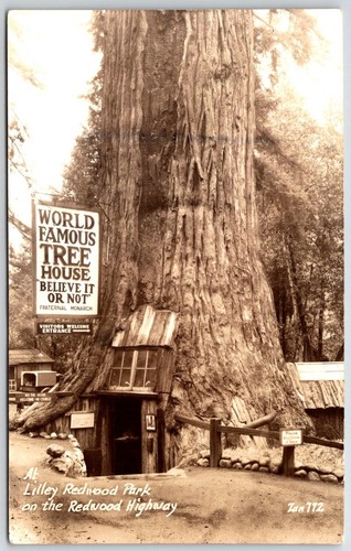 Real photo postcard - postcard, world