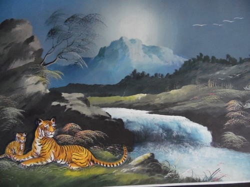 Indian school tiger - indian, family