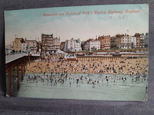 Brighton aquarium volks - brighton,