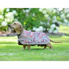 WeatherBeeta ComFiTec Essential Dog Coat - Dachshund Print