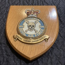 Vintage Royal Air Force 100