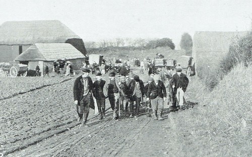 Hare coursing benacre - hare,