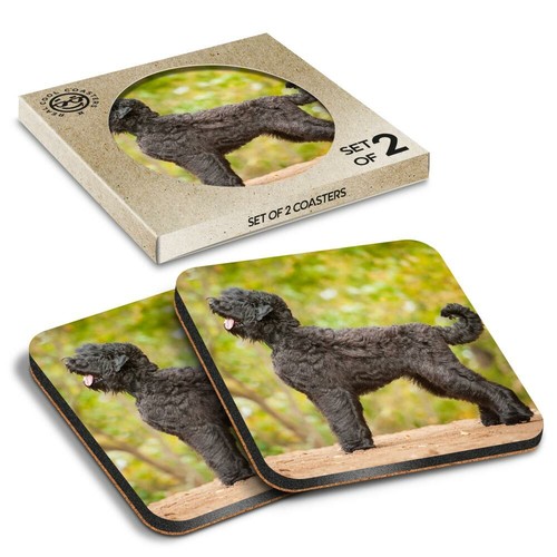Boxed square coasters - square,