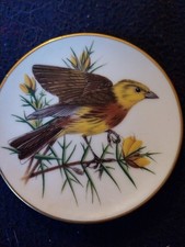  Miniature plate-Yellow