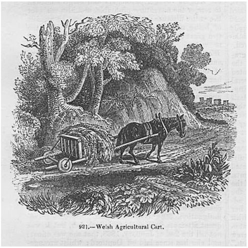 Welsh agricultural cart - a,