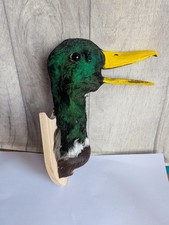 bad Taxidermy Bird - duck -
