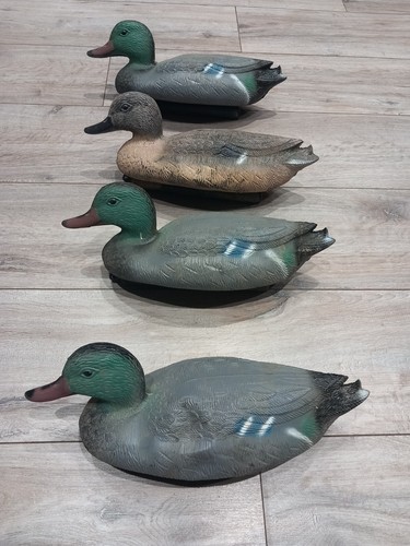Mallard duck decoys - decoys, teal
