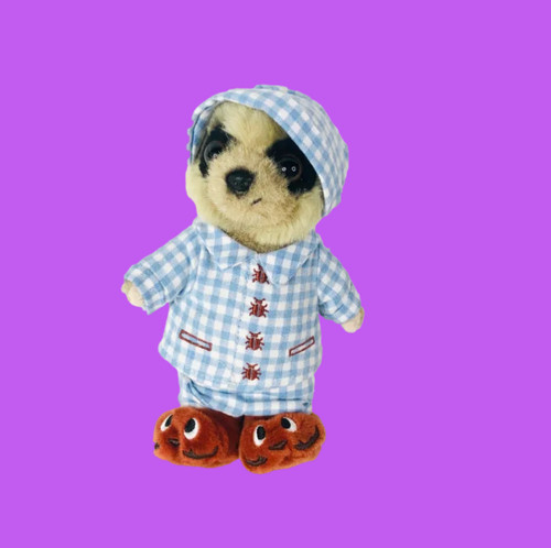 Sleepy oleg meerkat compare - 'sleepy,