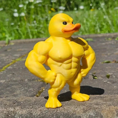 Muscle duck statue funny - muscle,