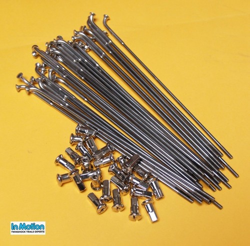 Rear spoke set stainless - rear,