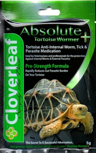 Cloverleaf absolute tortoise - cloverleaf,