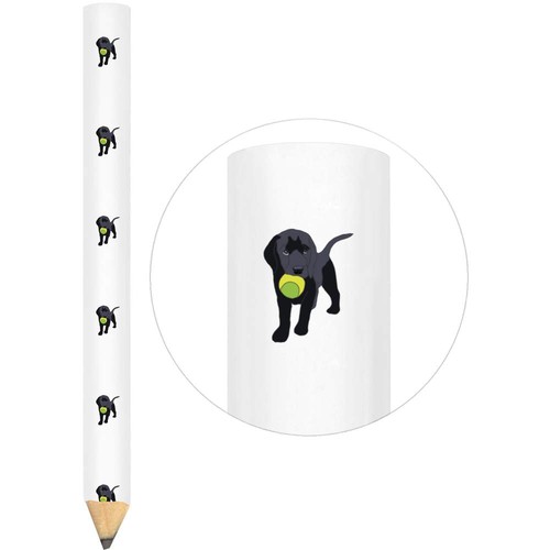 Puppy labrador - 3, '