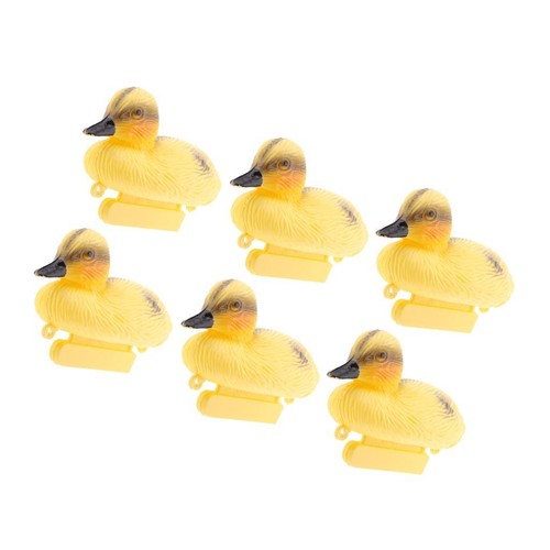 Floating duck ducklings - 6x,