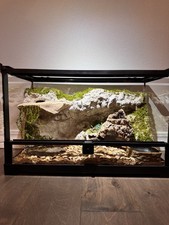 Custom Glass Terrarium