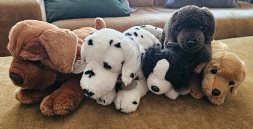Keel toys dog - plush, bundle