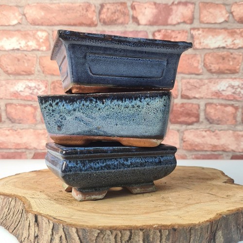 Clearance 15cm glazed - glazed, bonsai