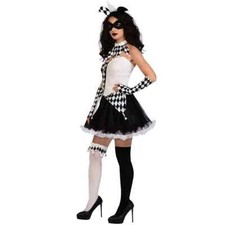 Ladies Jester Costume Womens