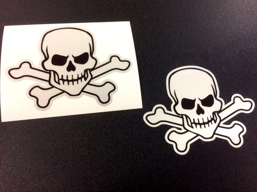 Reflective skull crossbones - skull,