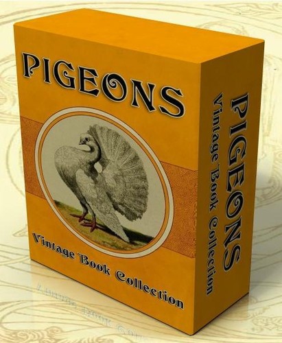 Pigeons vintage books cd - books, on