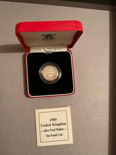 Silver proof piedfort one - proof, £1