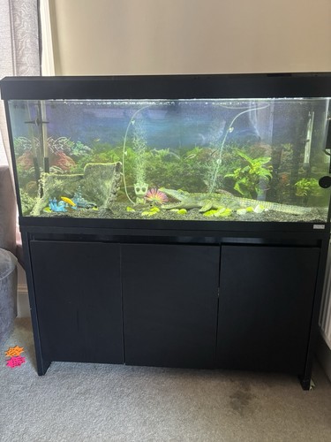 Fluval tropical fish tank240 - fluval,