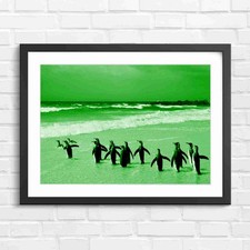 King Penguins on Sandy Beach