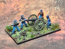 Pro Painted ACW Union Parrot