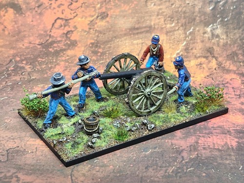 Pro painted acw - pro, parrot