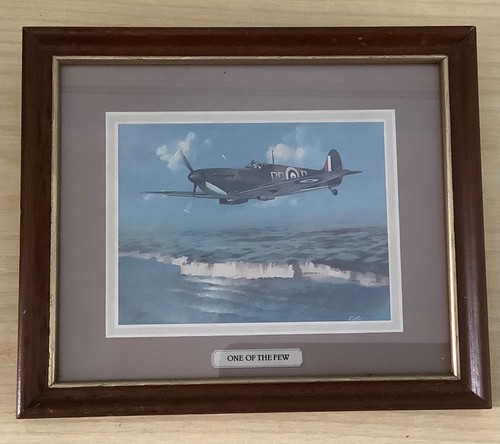 Small framed picture - or, print