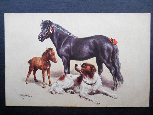 Reichert beautiful small - reichert,