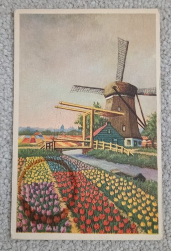 Dutch windmill and tulips