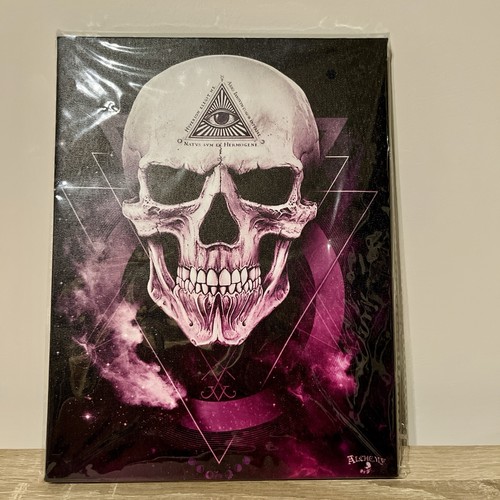 Alchemy gothic the void skull - alchemy,