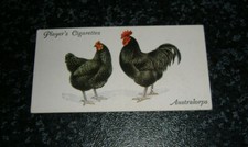 Players - Poultry Card No30 - Australorps