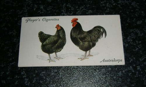 Players poultry card - players,