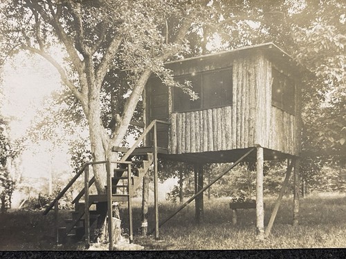 Elevated small log cabin - small, tree