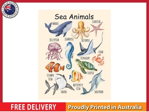 New sea animals - (laminated),