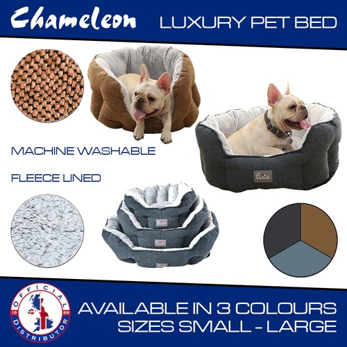 Pet dog cat bed puppy - cat,