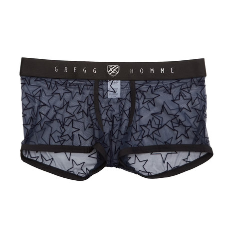 Gregg homme 190105 starr - gregg,