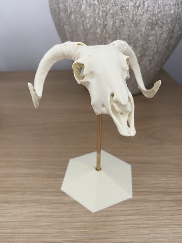 Miniature replica ram - miniature,