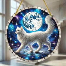 White Cat Moonlight Prowl