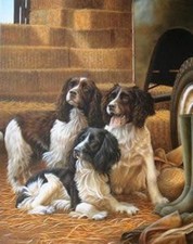 Nigel Hemming, Ground Force, Spaniels Limited Edition Print 3 / 495 Mint