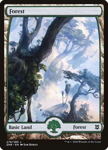 Mtg forest nm - (278), (znr)
