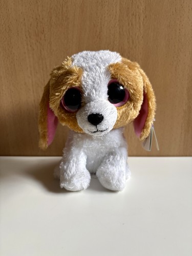 Beanie boo cookie the dog - beanie,
