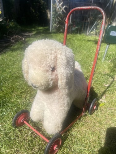 Cute fluffy toy push - toy, dog