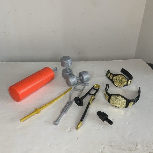 Wwe accessory weapon - wwe,