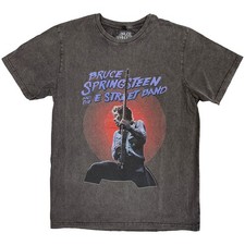 Bruce Springsteen Live Photo