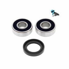 Rear Wheel Bearing & seal Kit