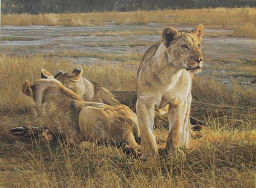 Robert bateman lions at dawn - bateman,